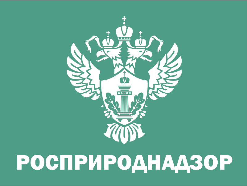 Глава Росприроднадзора объявила о старте V юбилейного сезона премии «Экология – дело каждого».