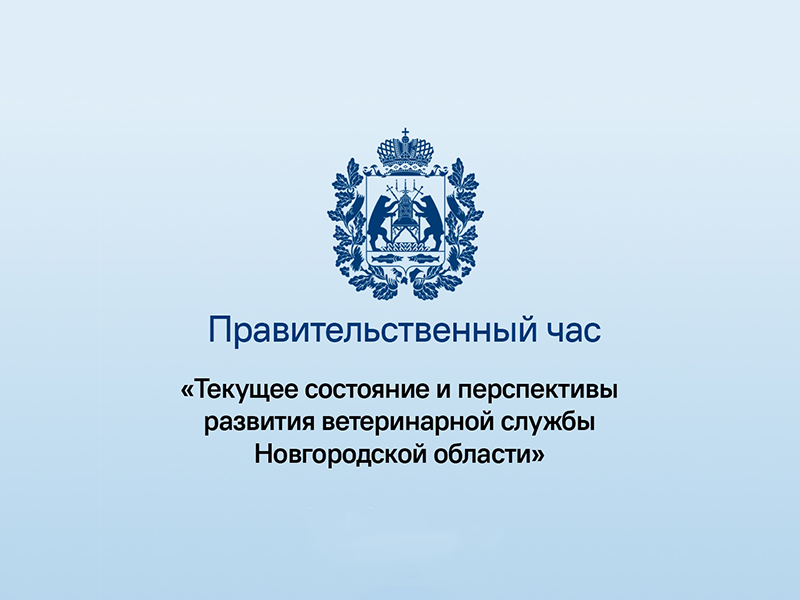 28 ноября в рамках правительственного часа перед депутатами Новгородской областной Думы выступит председатель комитета ветеринарии Новгородской области Людмила Сукачева.