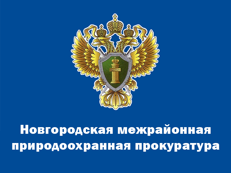 26.08.2024 с 09:00 до 18:00 Новгородская межрайонная природоохранная прокуратура проведет «горячую линию» по вопросам несанкционированных рубок древесины на землях сельскохозяйственного назначения.