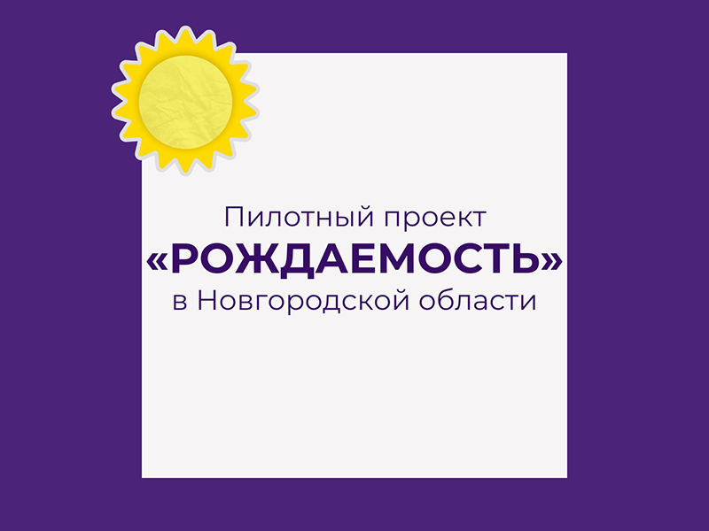 В Боровичском районе создают условия для комфортного проживания семей с детьми.